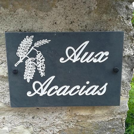 Aux Acacias Villa Braye-sous-Faye Buitenkant foto